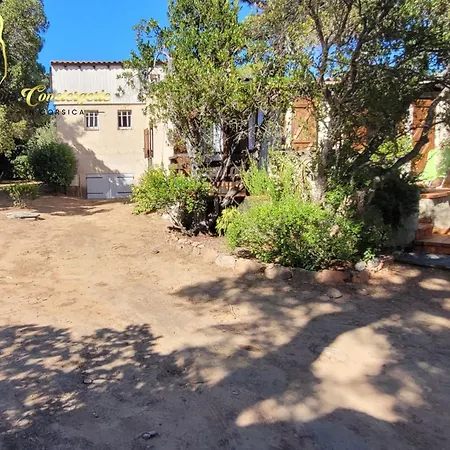 Cherie 120m2 Acces A Pied A Olmuccio Holiday home *